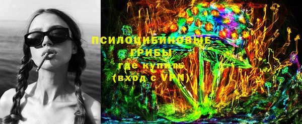 apvp Алзамай