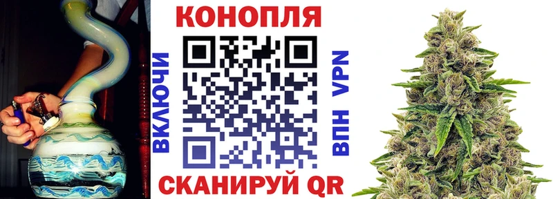 Бошки марихуана SATIVA & INDICA OMG сайт Десногорск как найти наркотики